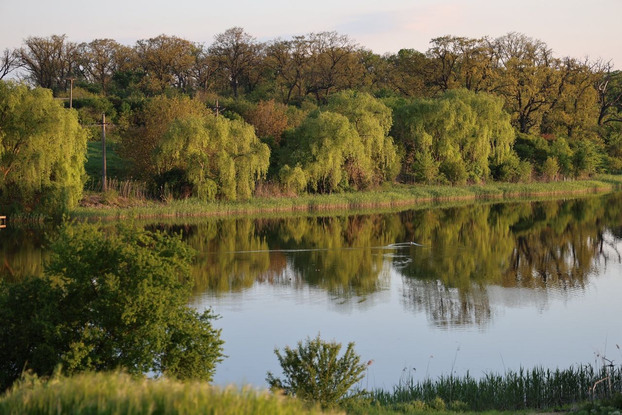 Peisaj verde și lacul aproape